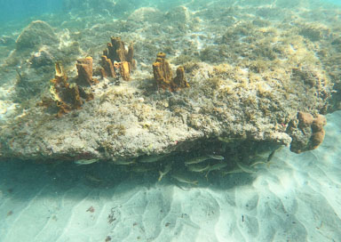 GOPR0778.jpg