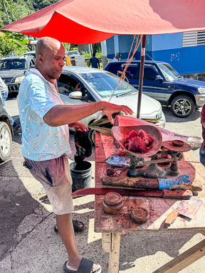 Rosseau and Southern Dominica