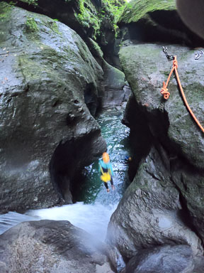 Canyoning and Whale Watching