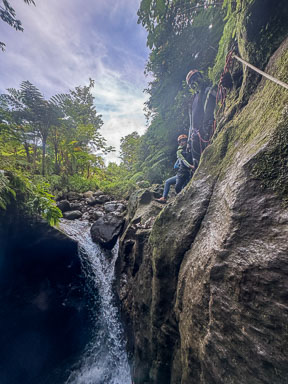 Canyoning and Whale Watching