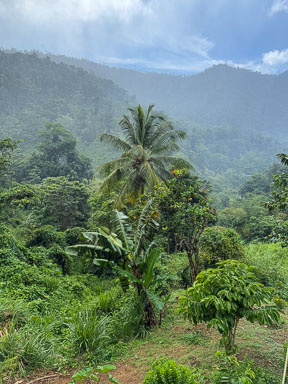 Waterfalls and Mountains