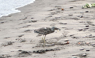 IMG_5367.jpg