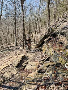 IMG_5933.jpg