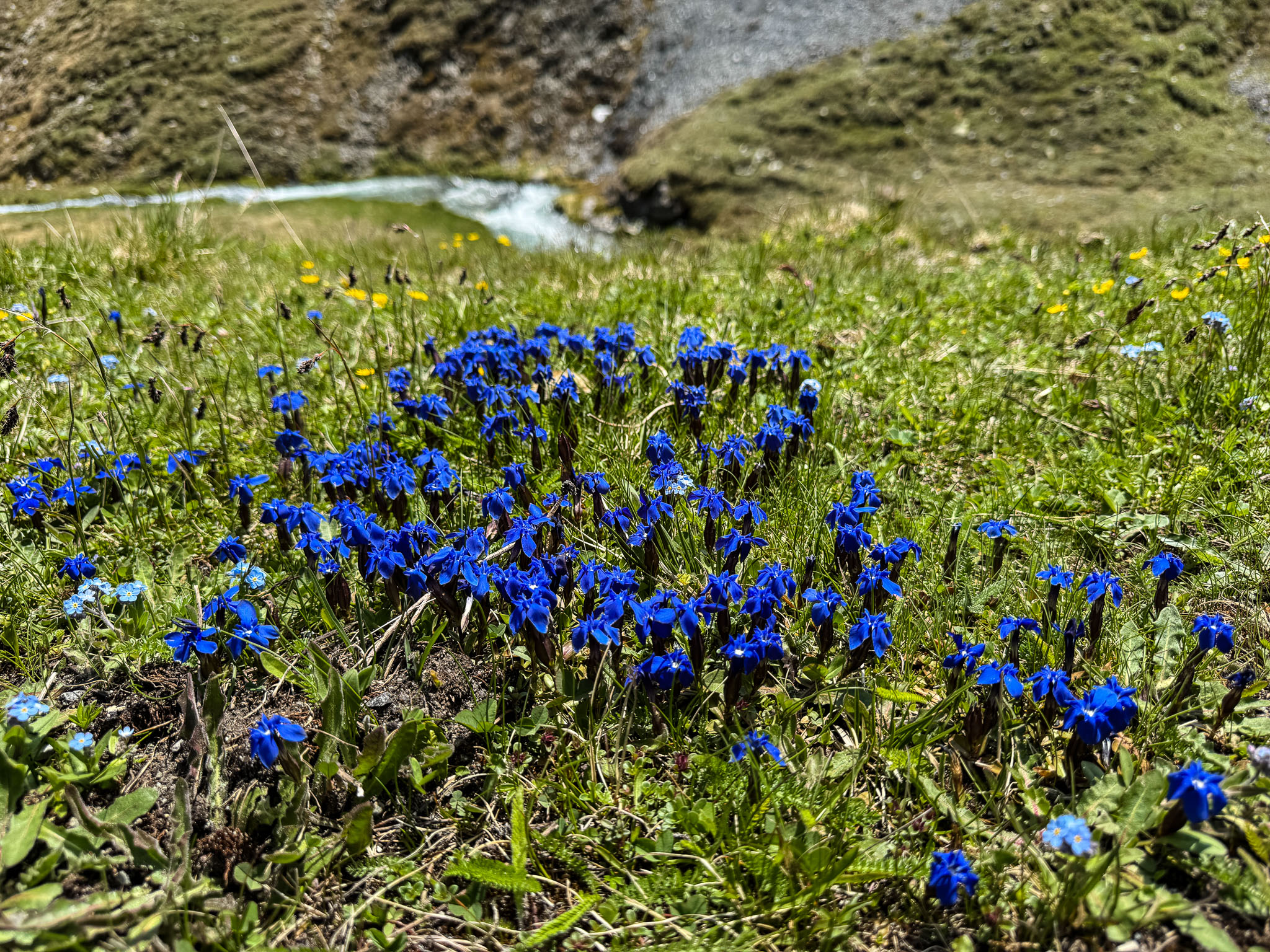 IMG_7240.jpg