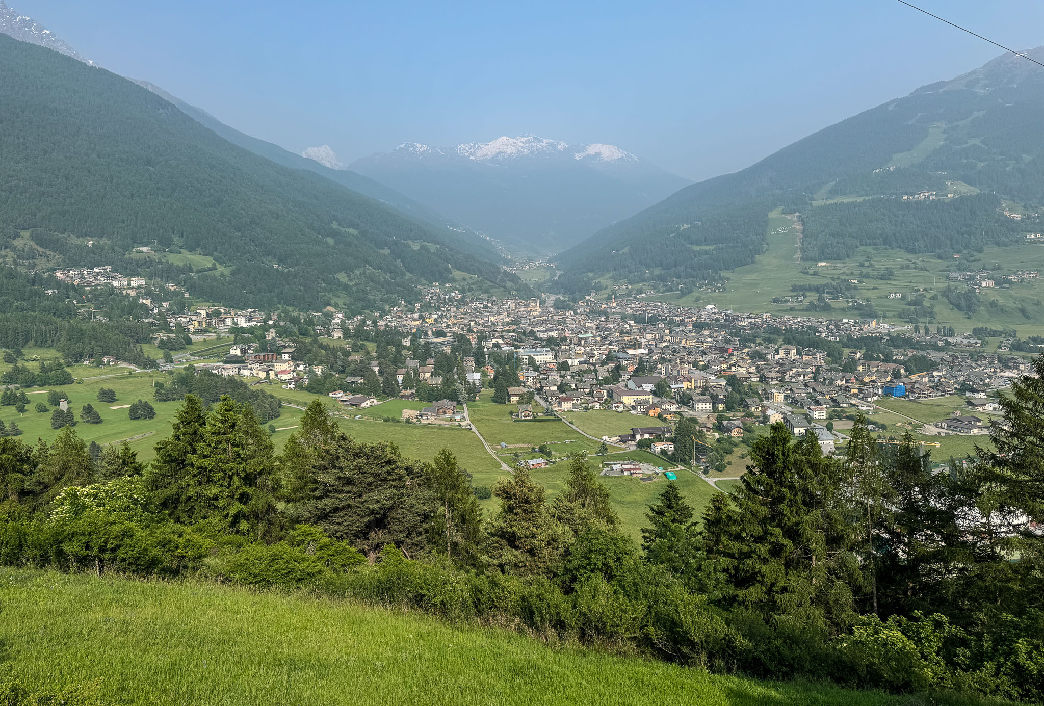 IMG_7312.jpg
