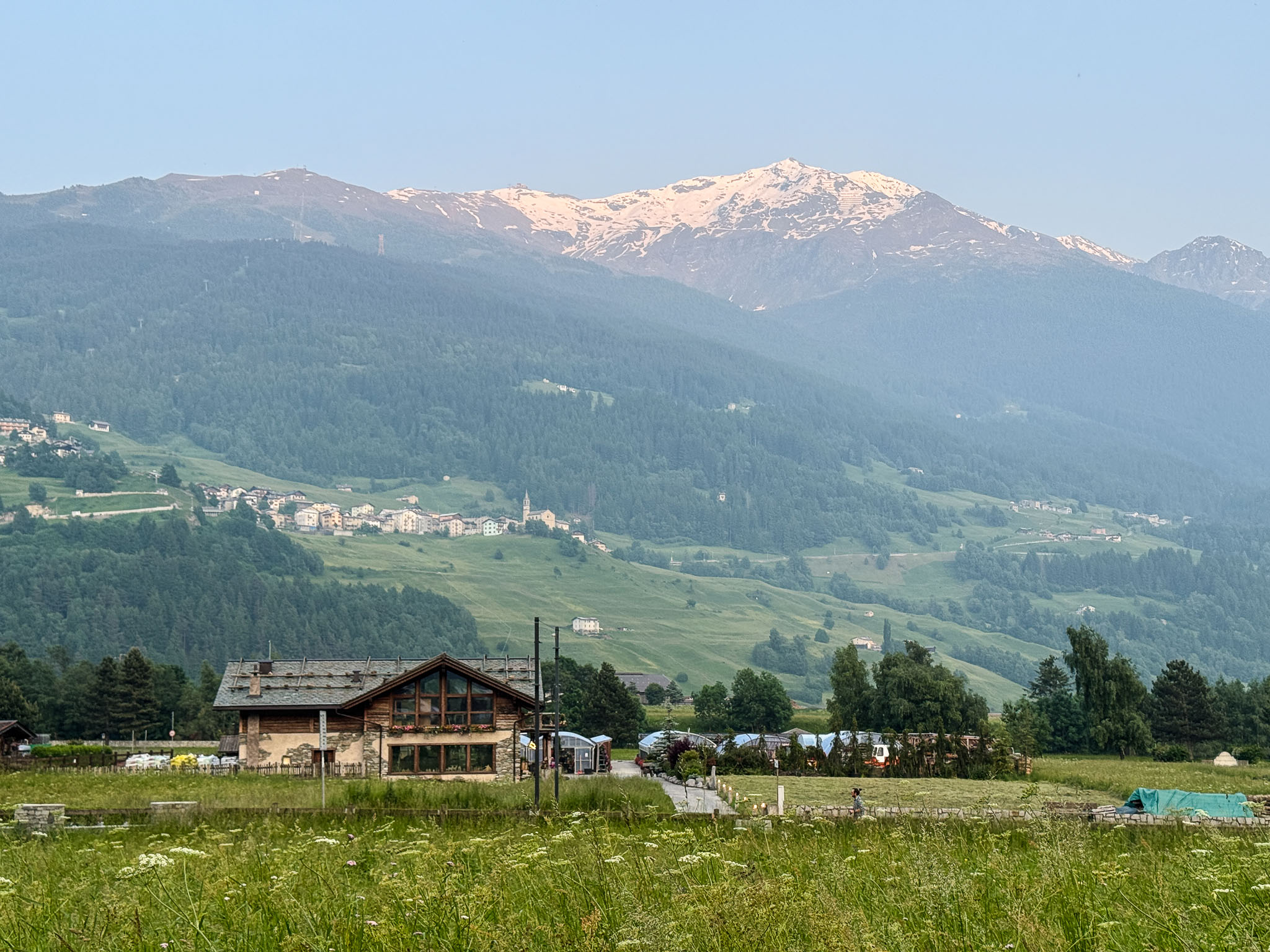 IMG_7332.jpg
