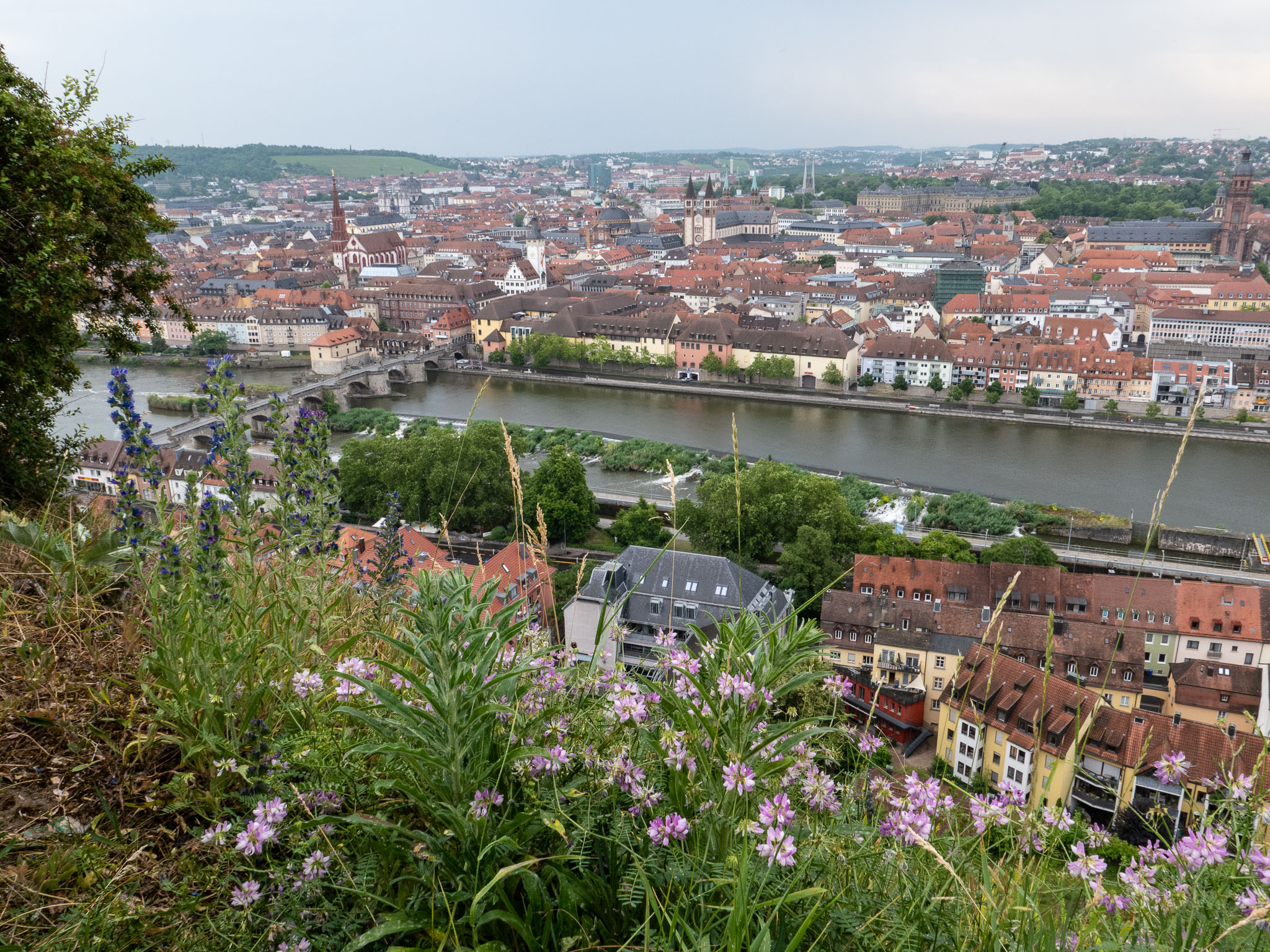 L1000168.jpg