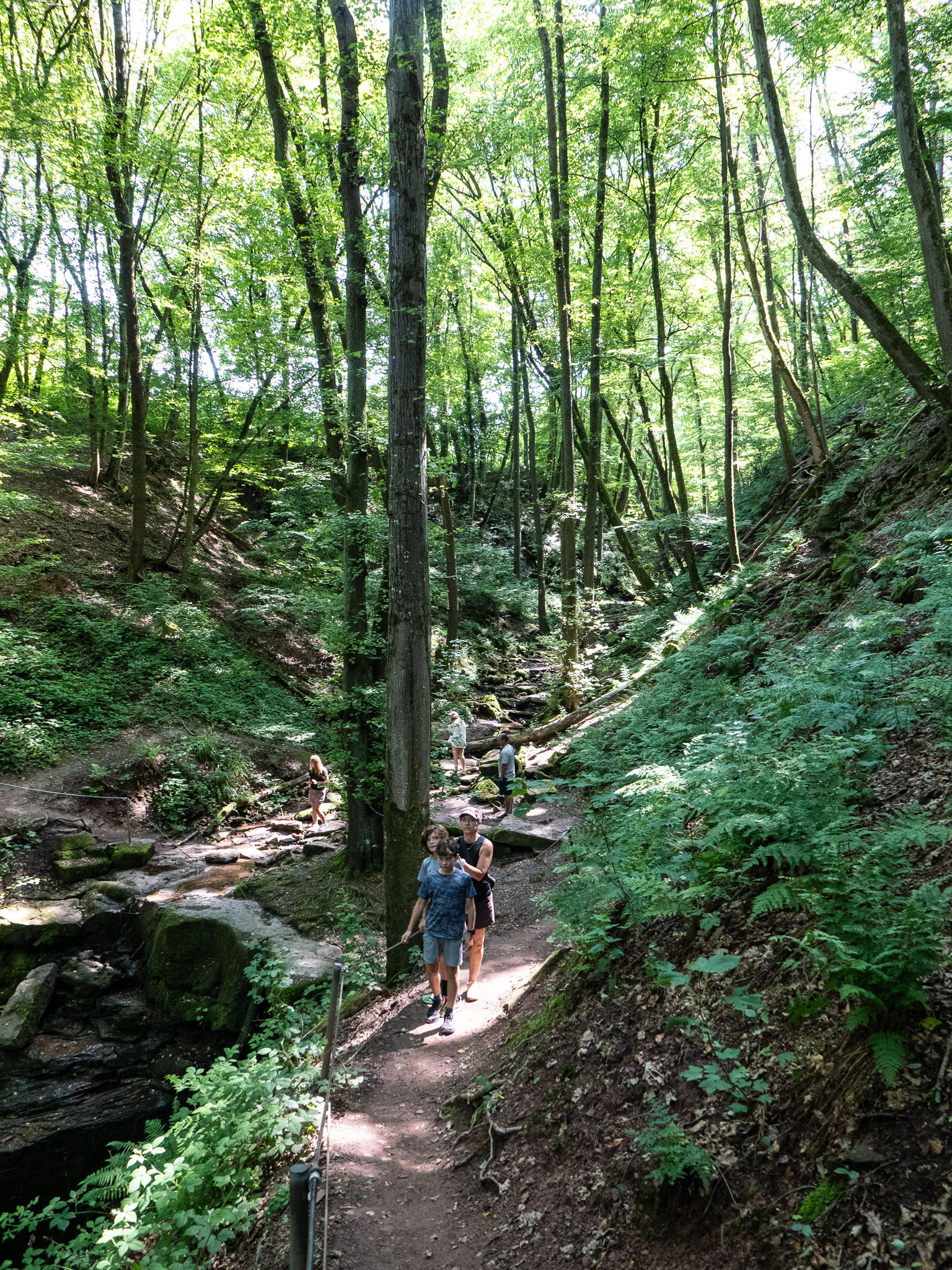 L1000172.jpg