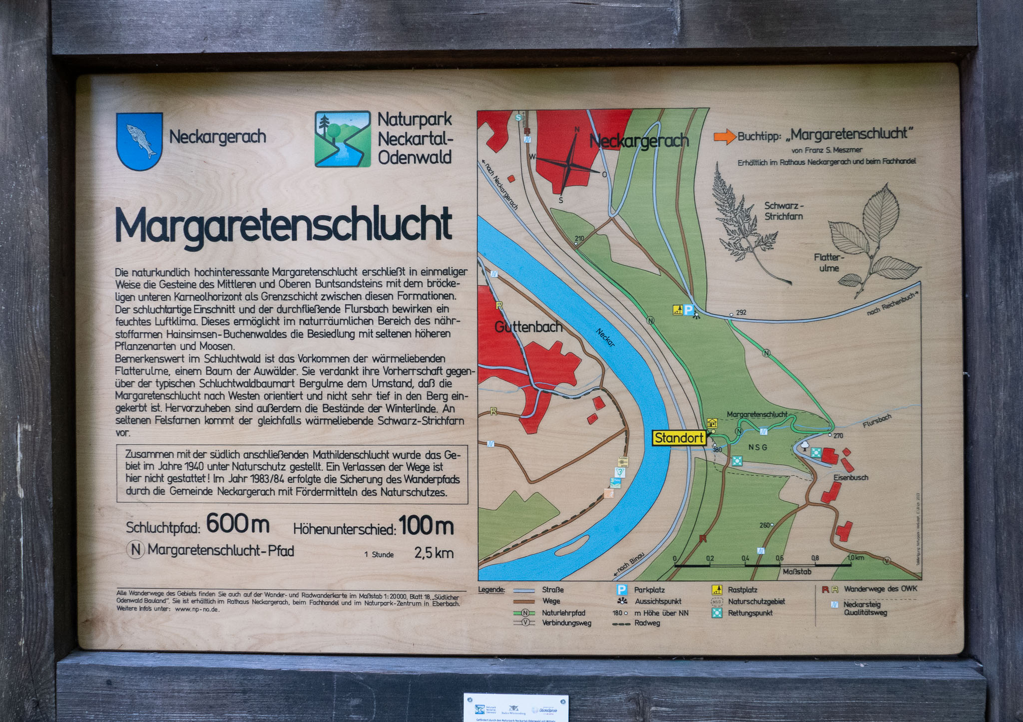 L1000180.jpg