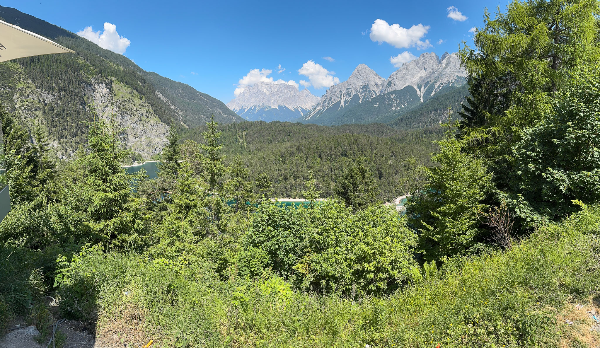 IMG_7686.jpg