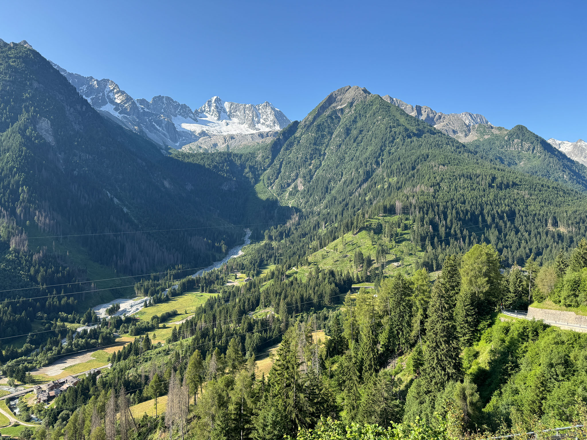 IMG_7877.jpg