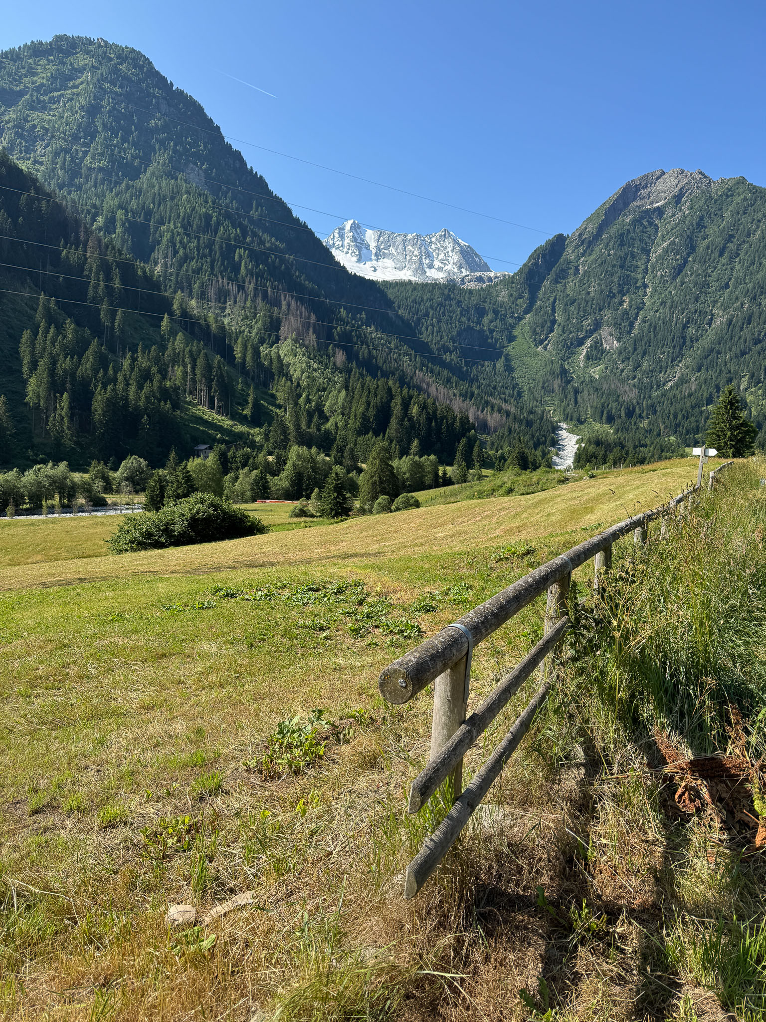 IMG_7889.jpg