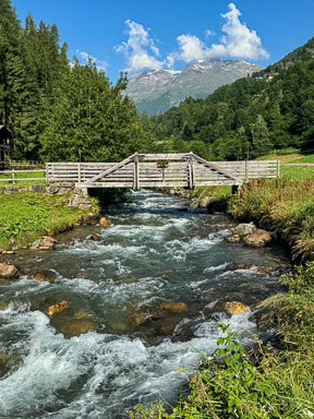 IMG_7701.jpg