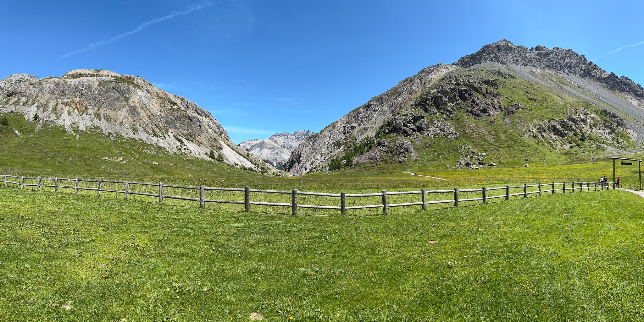IMG_8215.jpg