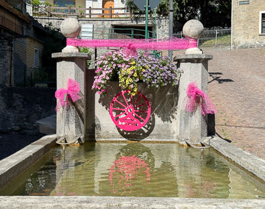 IMG_8136.jpg