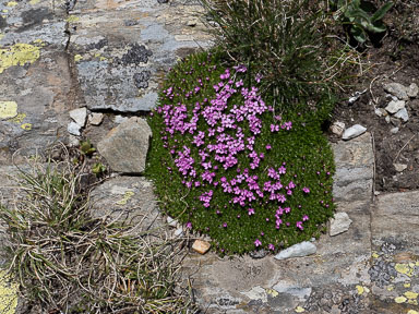 L1000238.jpg