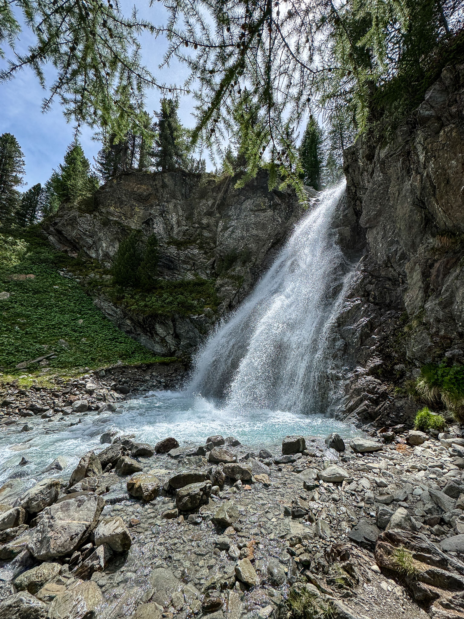 IMG_8360.jpg