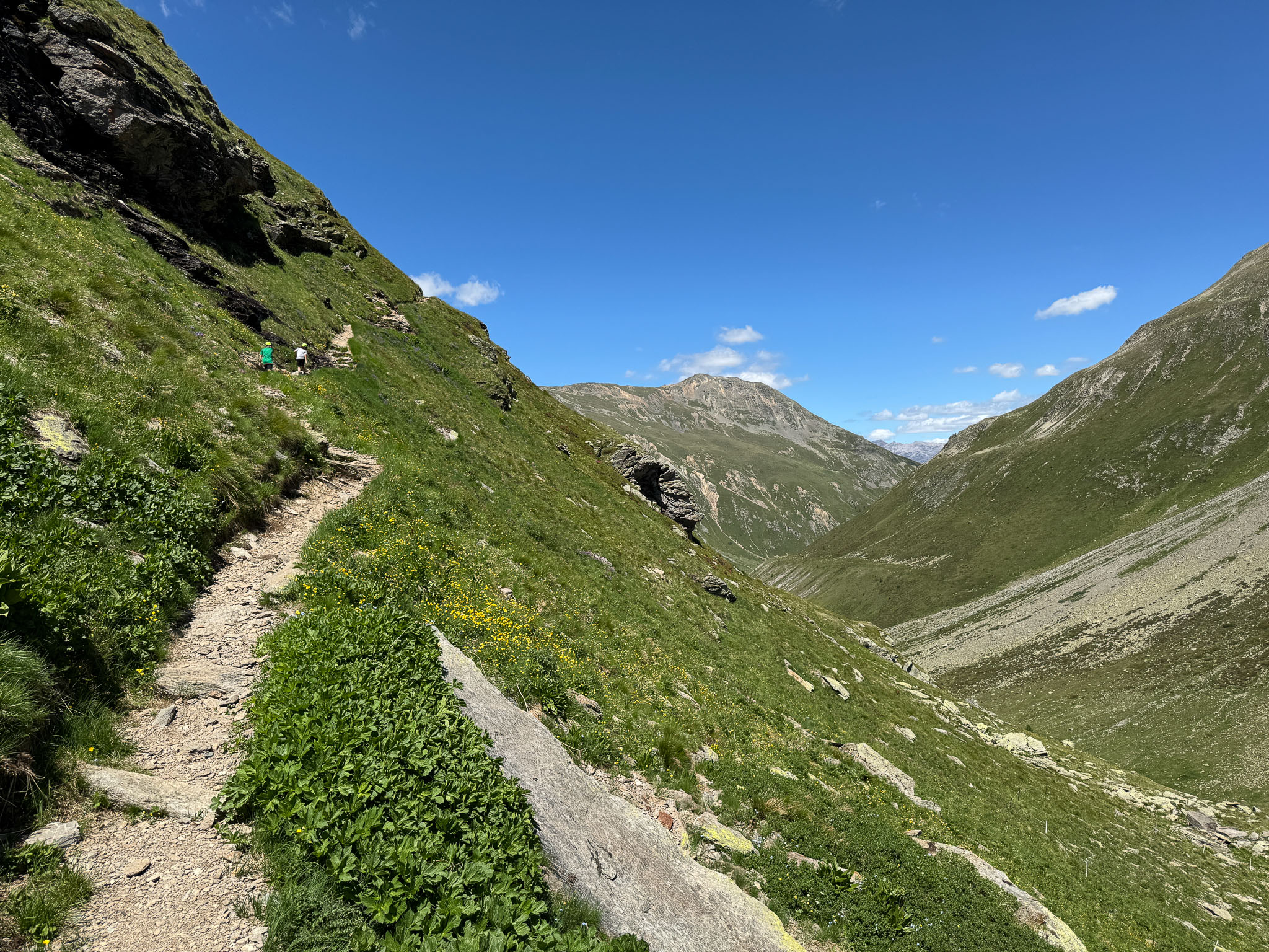 IMG_8607.jpg