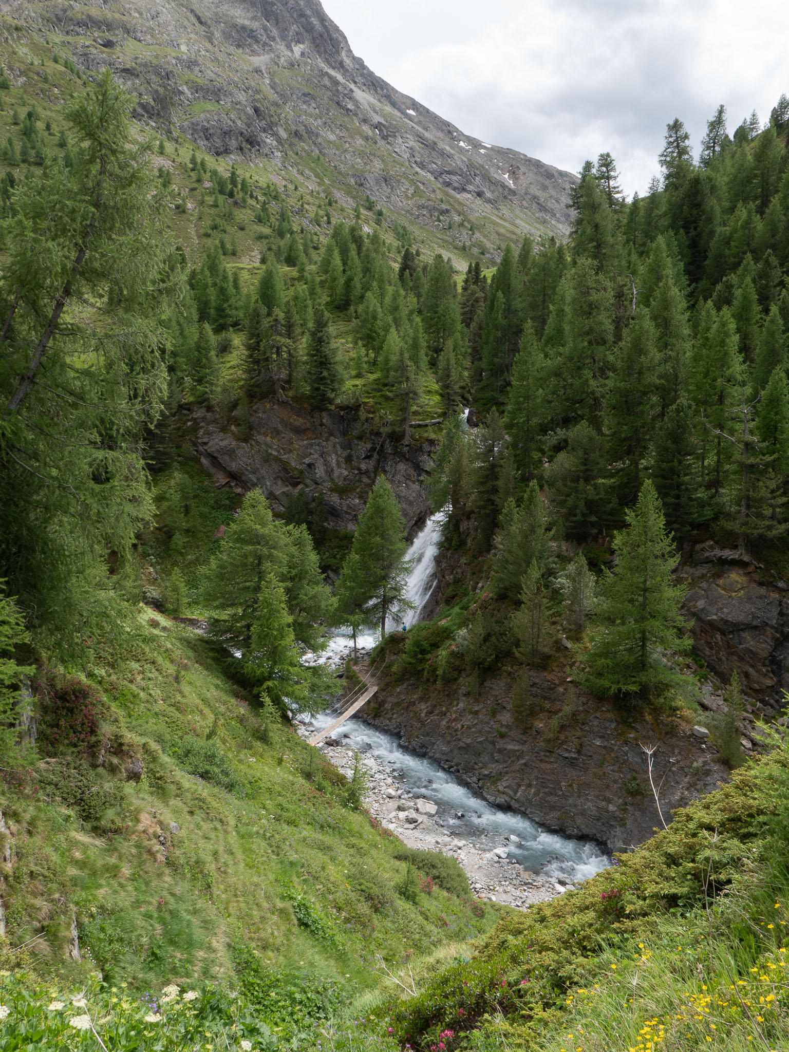 L1000255.jpg