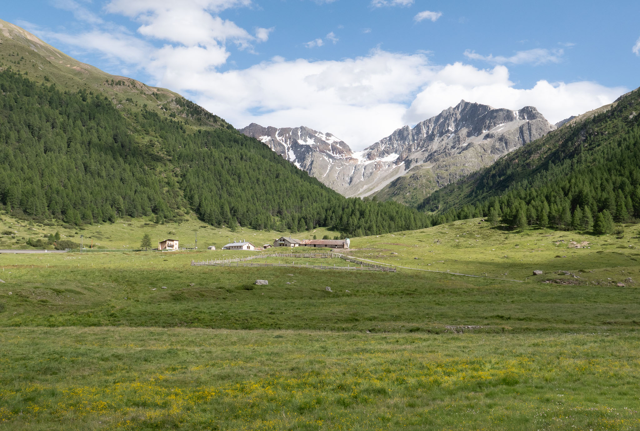 L1000260.jpg