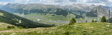 IMG_8312.jpg