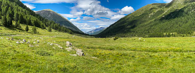 IMG_8391.jpg