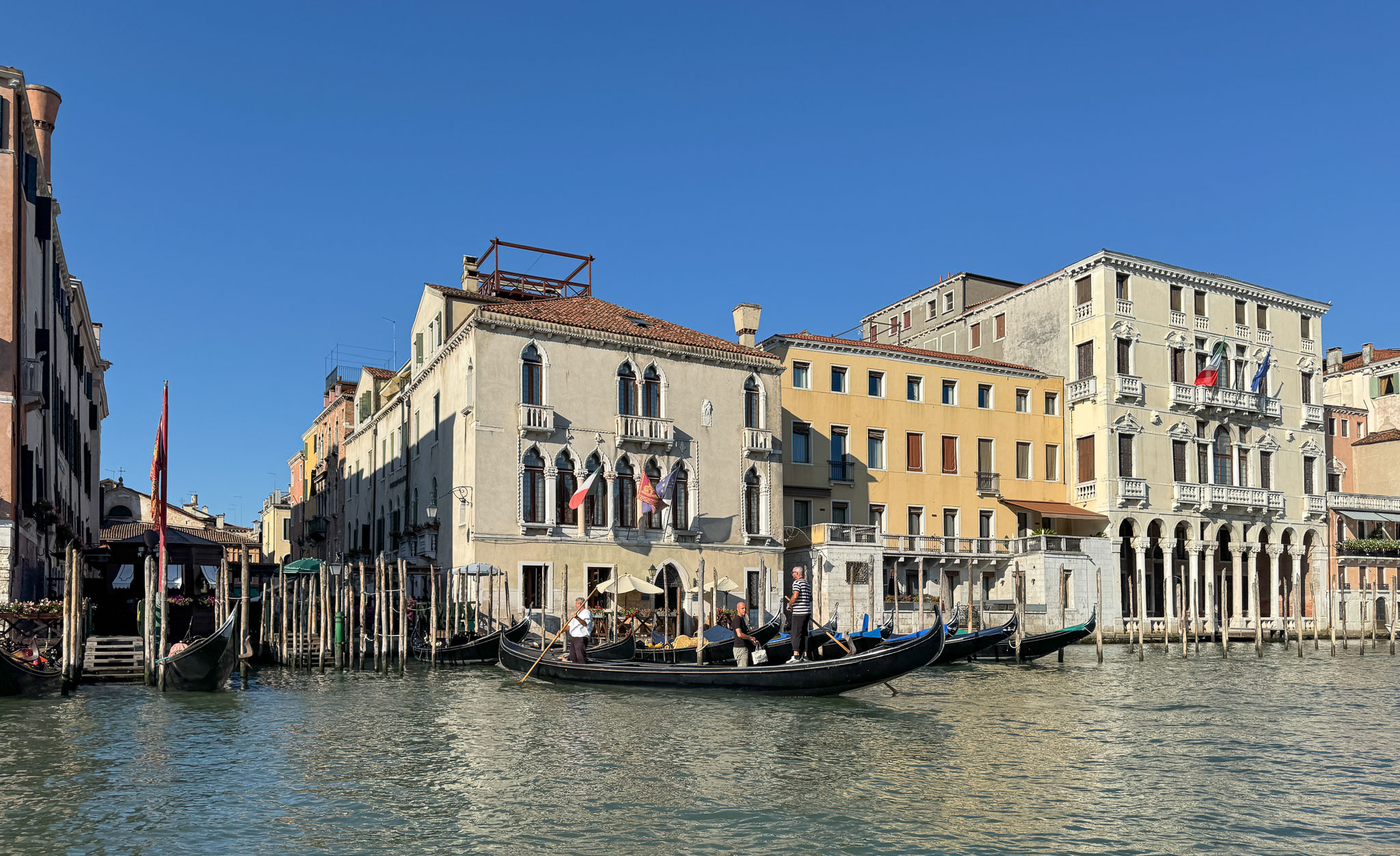 IMG_8647.jpg