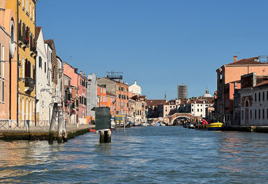 IMG_8631.jpg