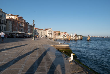 L1000265.jpg
