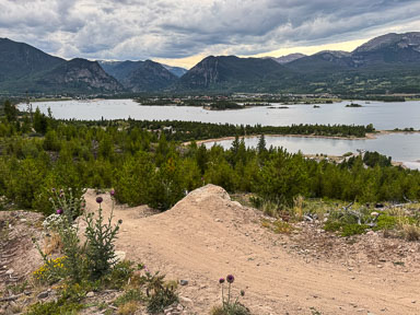 IMG_9014.jpg