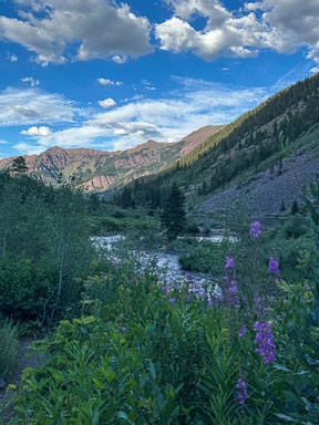 IMG_9366.jpg