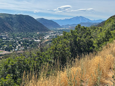 IMG_9401.jpg