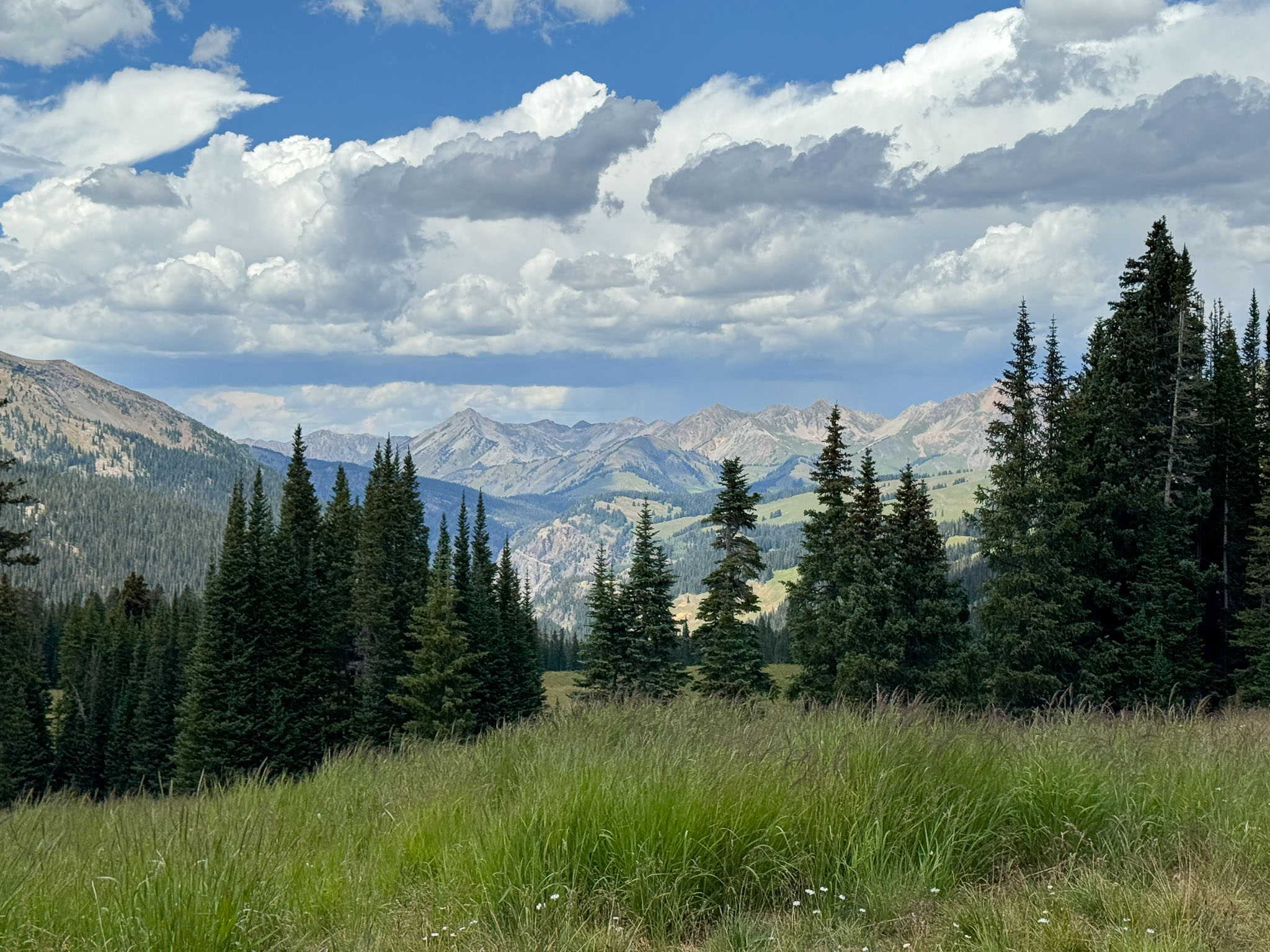 IMG_9647.jpg