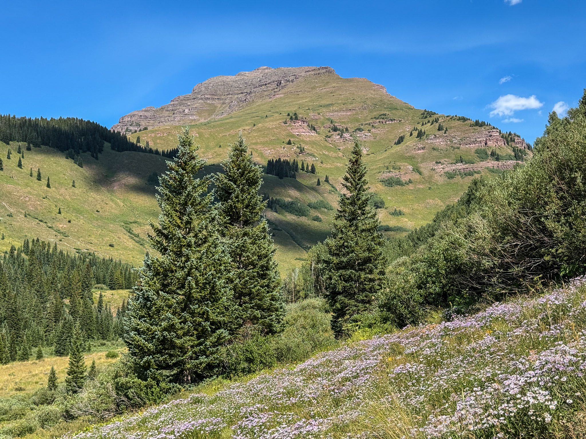 IMG_9724.jpg