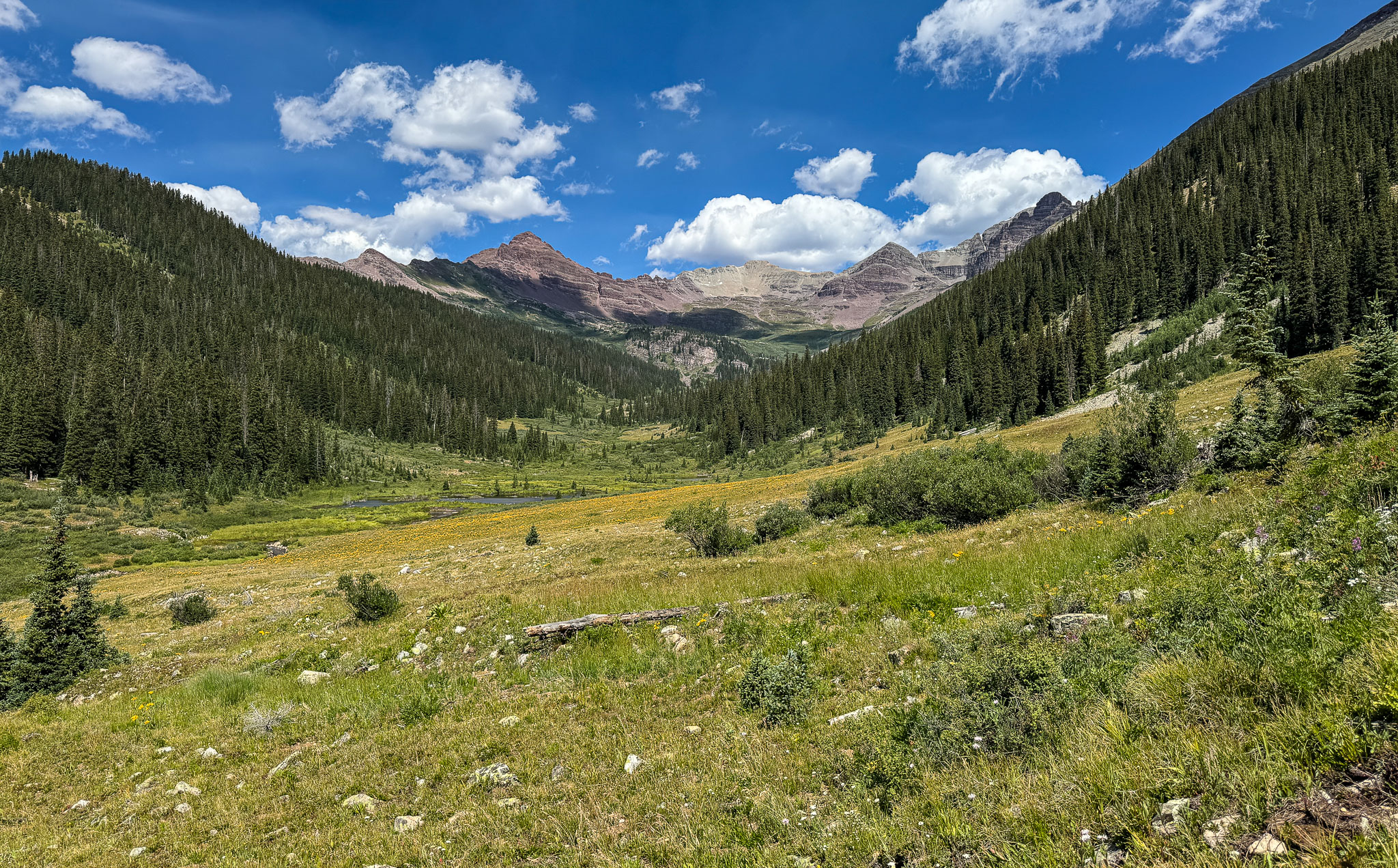 IMG_9730.jpg