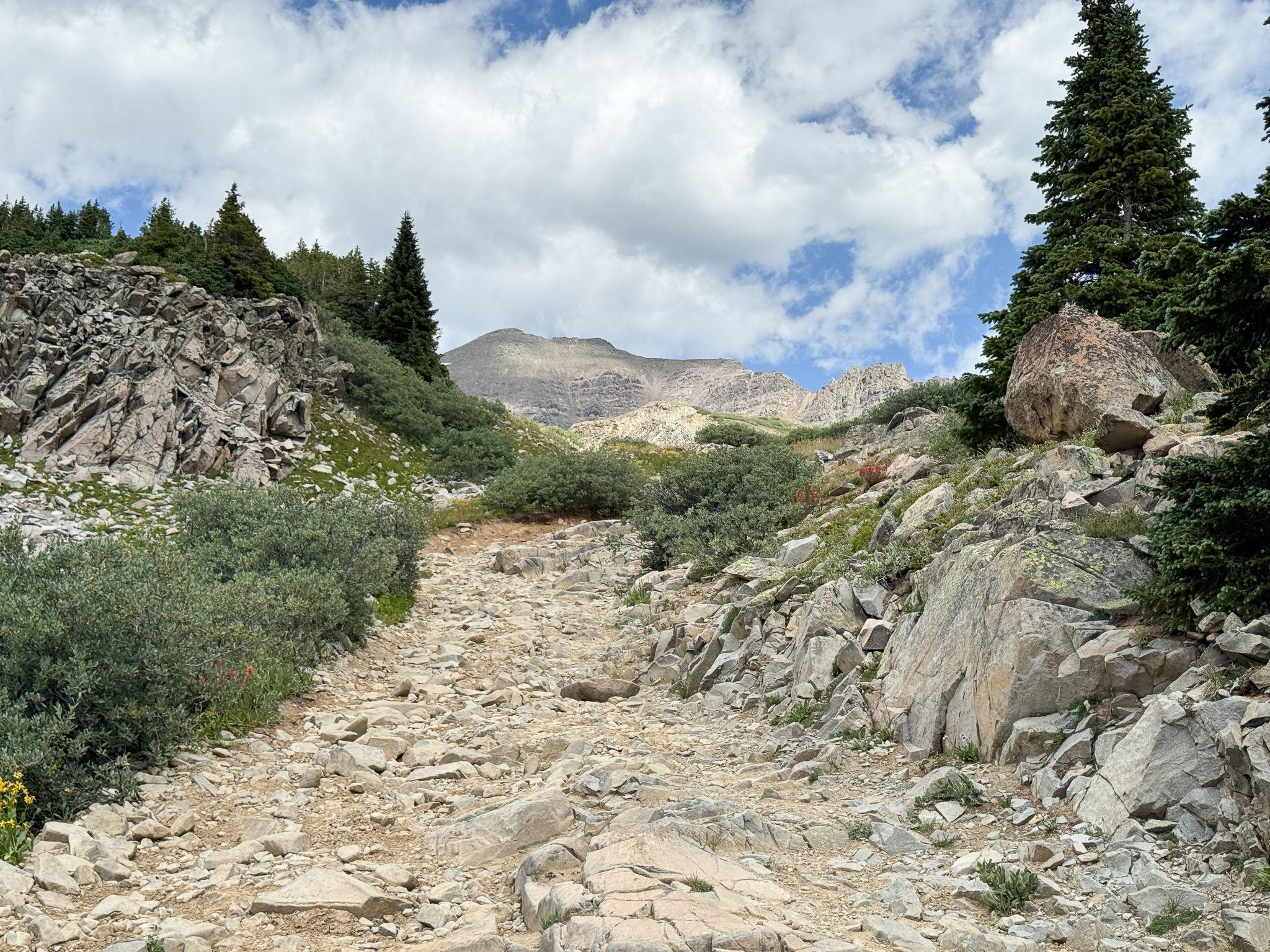 IMG_9736.jpg