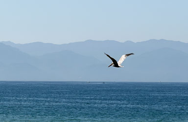 IMG_0572.jpg
