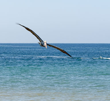 IMG_0575.jpg