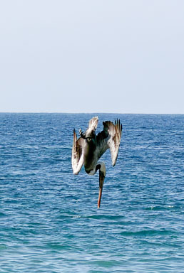 Puerto Vallarta
