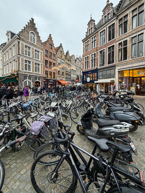 IMG_1334.jpg
