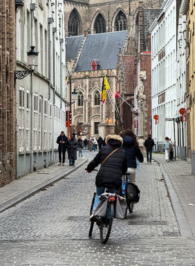 IMG_1377.jpg