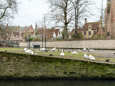 IMG_1412.jpg