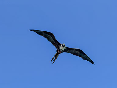 IMG_2066.jpg