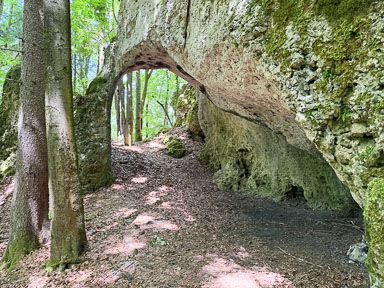 IMG_3289.jpg