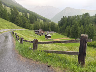 IMG_3310.jpg
