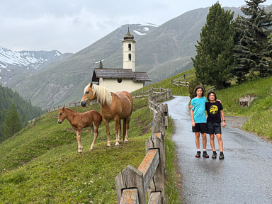 IMG_3315.jpg