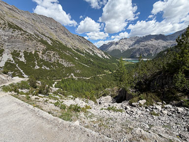 IMG_3443.jpg