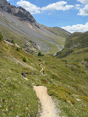 IMG_3453.jpg