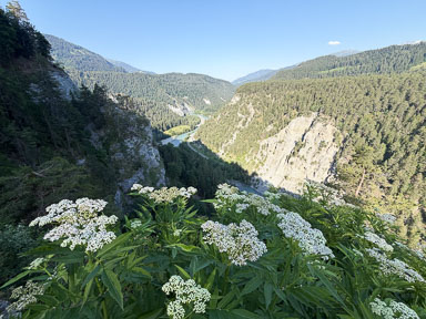 IMG_3847.jpg