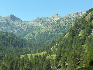 IMG_4273.jpg